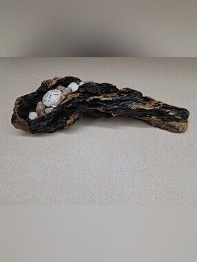 Rustic Driftwood Sculpture with Natural Shell Accents. Different Shades of Brown